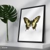 Colorful Butterfly Butterflies Chic Single Mozter