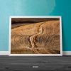 Landscape Nature Mozter