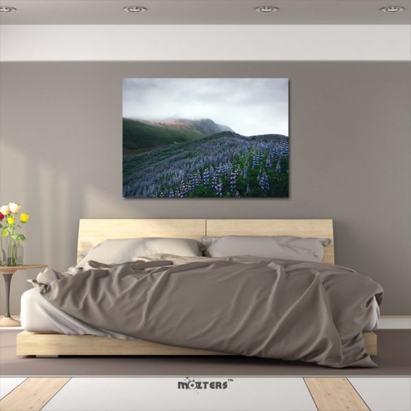 Landscape Scenery Nature Mountains Field Mozter