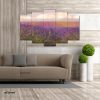 Purple Lavender Lavenders Flower Flowers Fields Field Nature 5 Piece Split Mozter