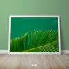 Green Leaves Single Mozter