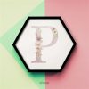 Name Letter ‘P’ Initials Alphabets Characters Pictography Symbols Single Hexter