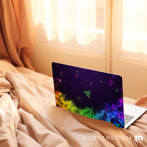 Colorful Razer  Laptop Skins